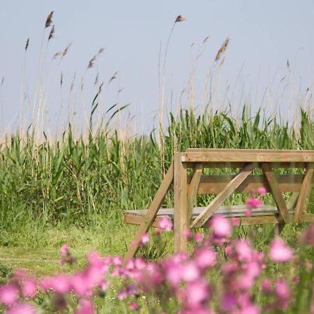 De Tijnjehoeve Boornzwaag over de Wielen Extérieur photo