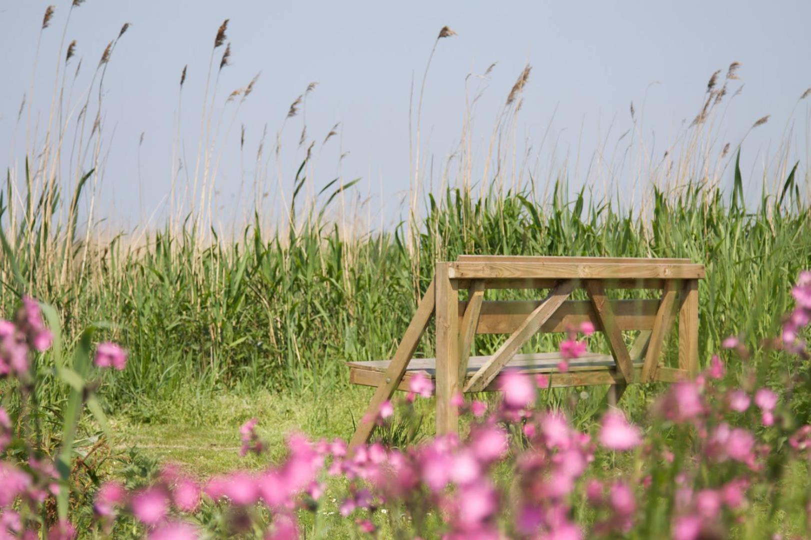 De Tijnjehoeve Boornzwaag over de Wielen Extérieur photo